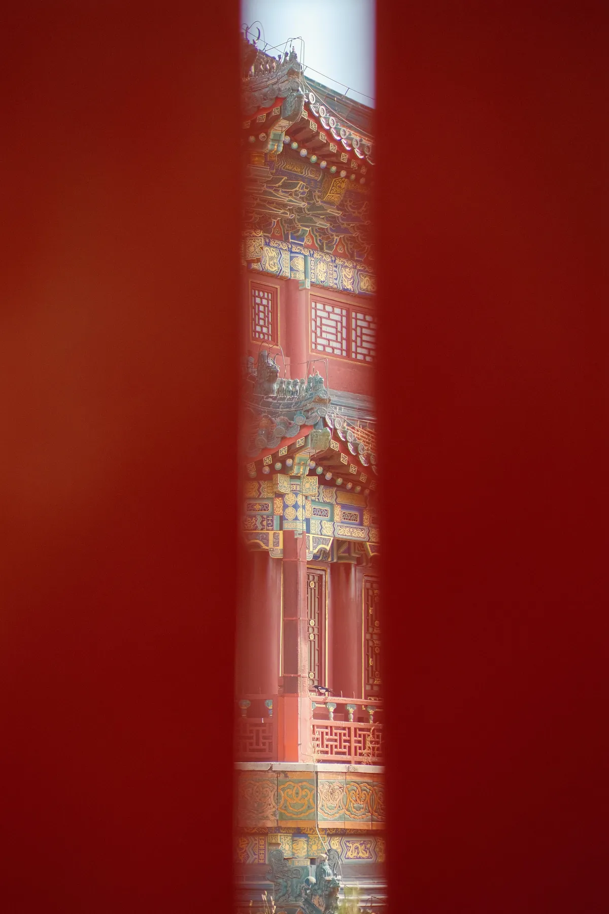 My first time in China. I am blown away.