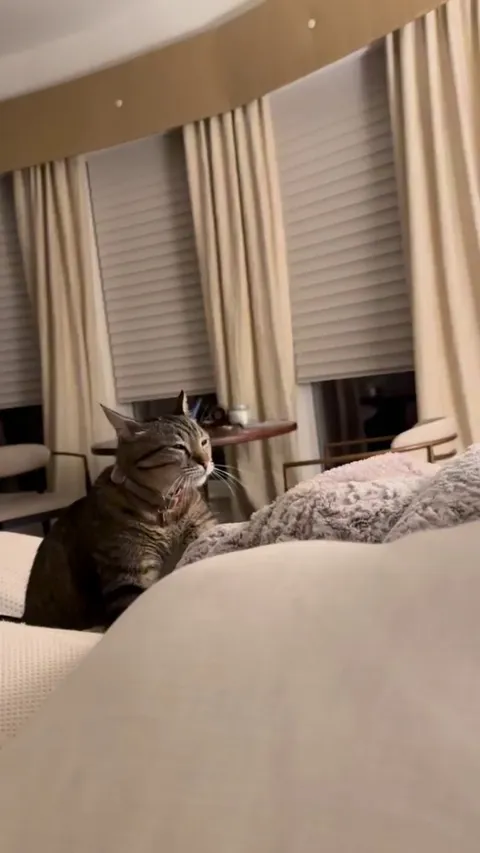 He is my ride or die