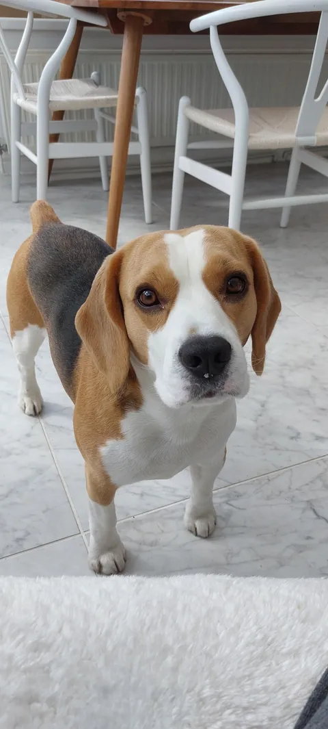 You were so tiny, now you're all grown up!