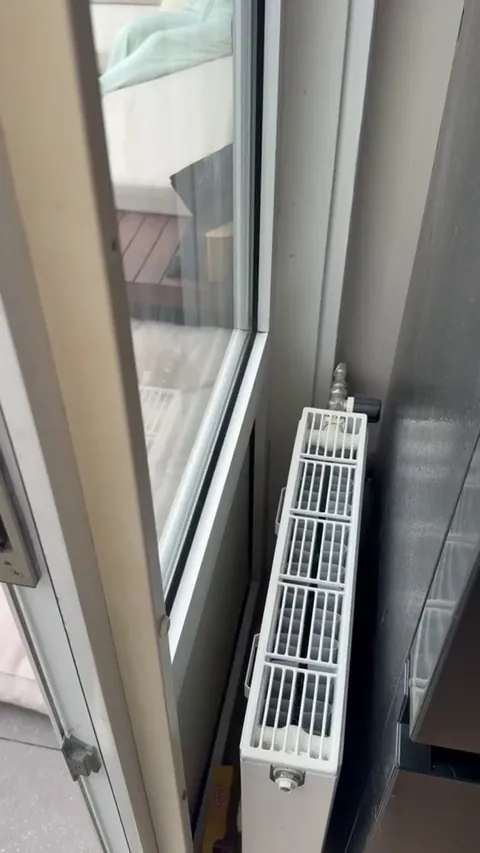 Husband’s on the phone… meanwhile my neighbour decided to come over