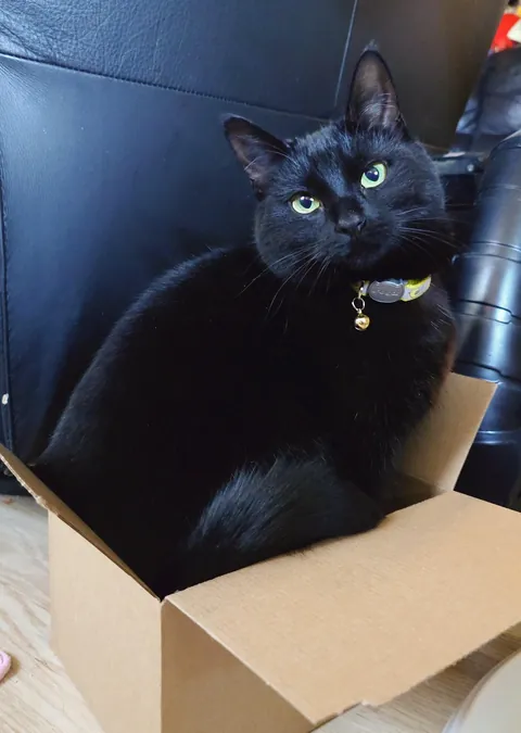 She got a box