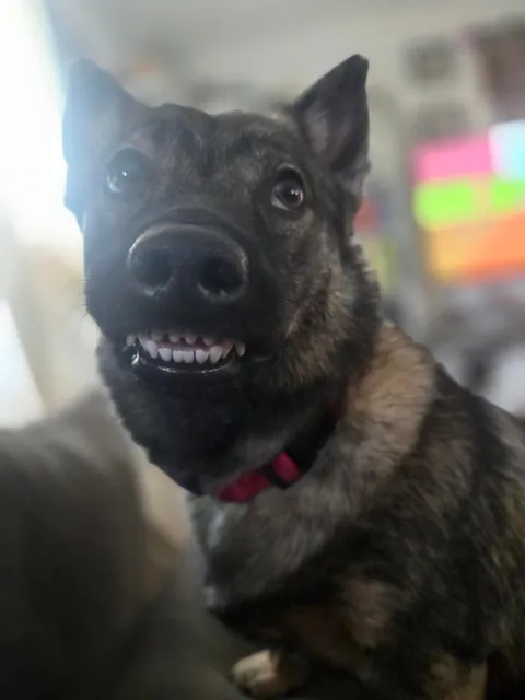 Shelob hopes you have a good weekend!