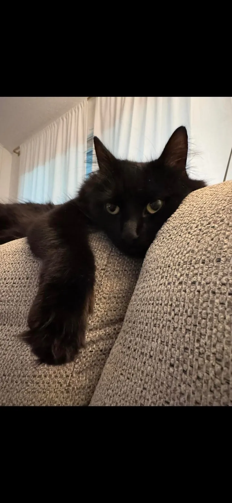 I’m abroad for ten days and I miss himmmmm