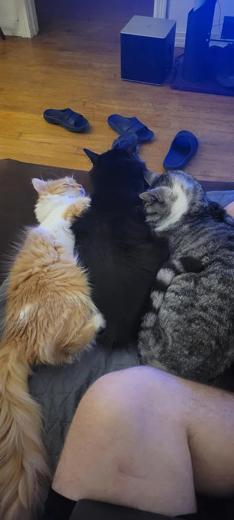 Woke up this morning and she was gone.