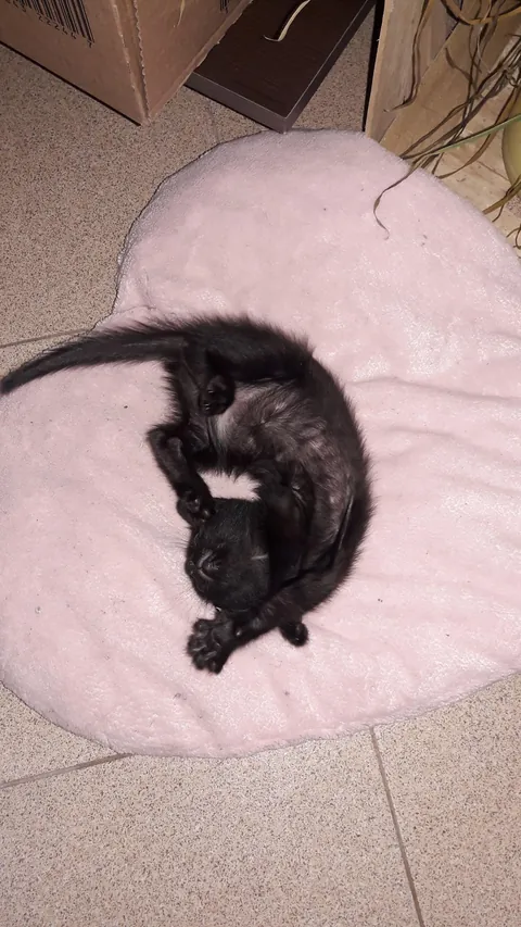 From 1 month to 2 years ❤️