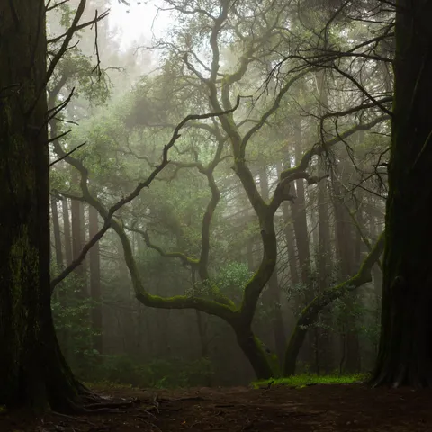 I went on a hike today to test out a new lens I picked up. How's the composition and editing?