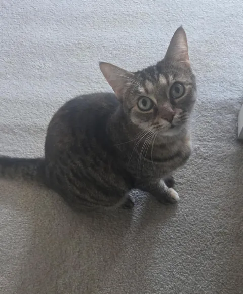 Goodbye Beautiful Lady