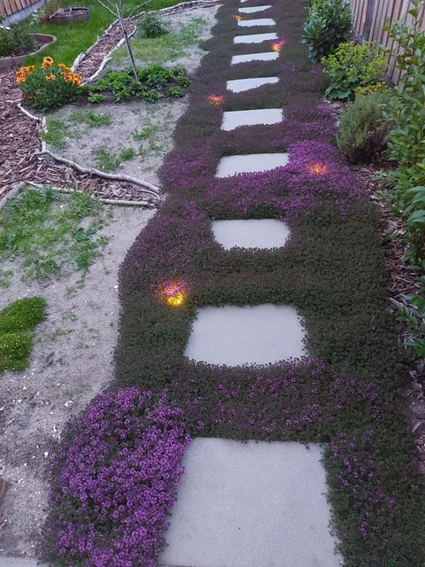 Our garden path transformation! Before &amp; after