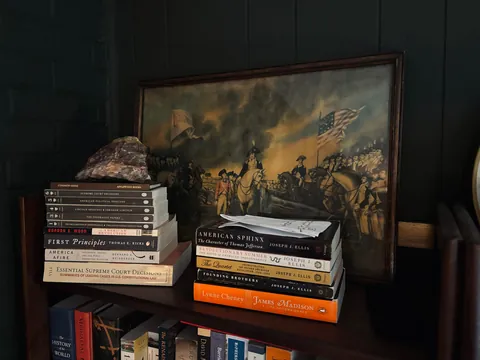 Always been my dream to have a study/library space. Finally finished.