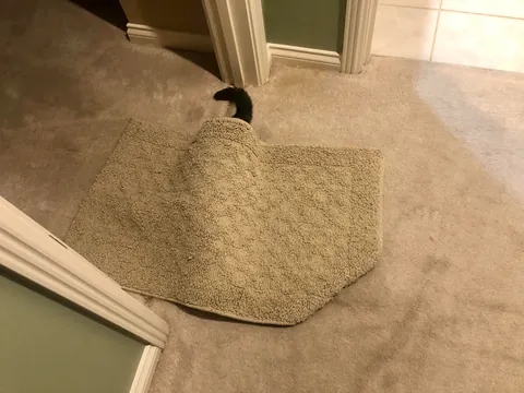 Worst. Assassin. Ever