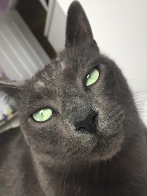 After 12 years he’s gone 💔