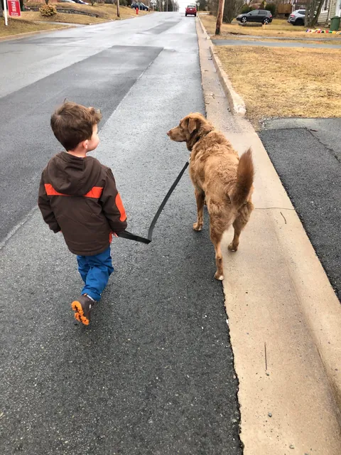 My Bassi bear tuned 10! My best boy, the best “big” brother and my best friend:)