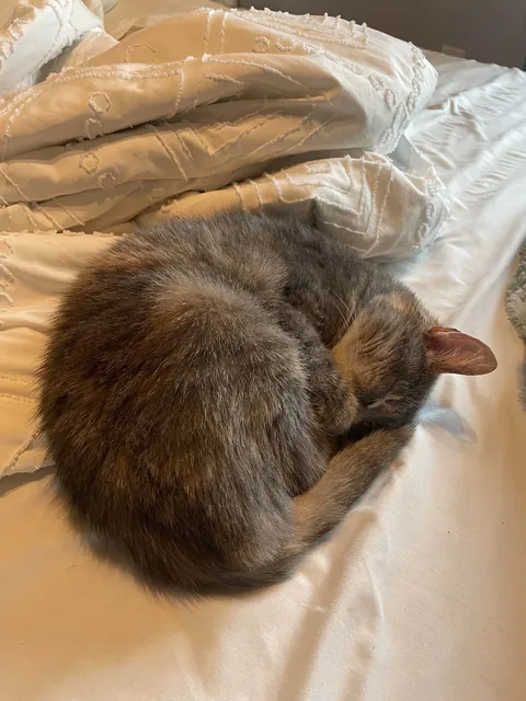 Teva Day 1 / Day 121