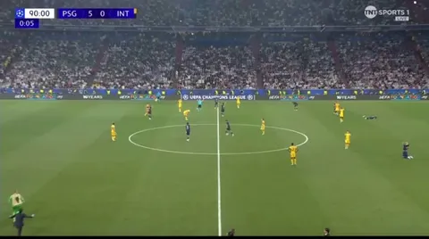 Celebrations as PSG win the Champions League