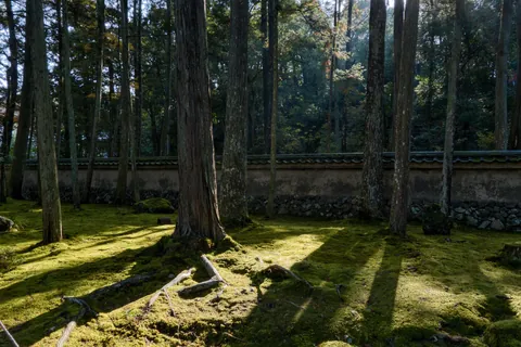 Japan in Late November