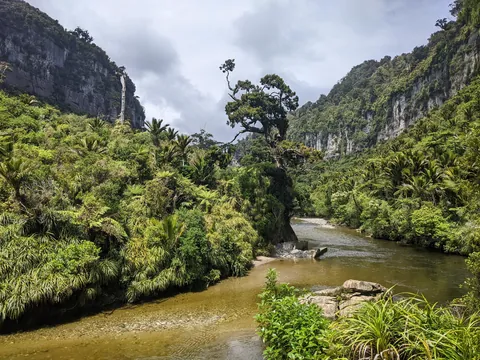 There and Probably Not Back Again: NZ Dec 2025