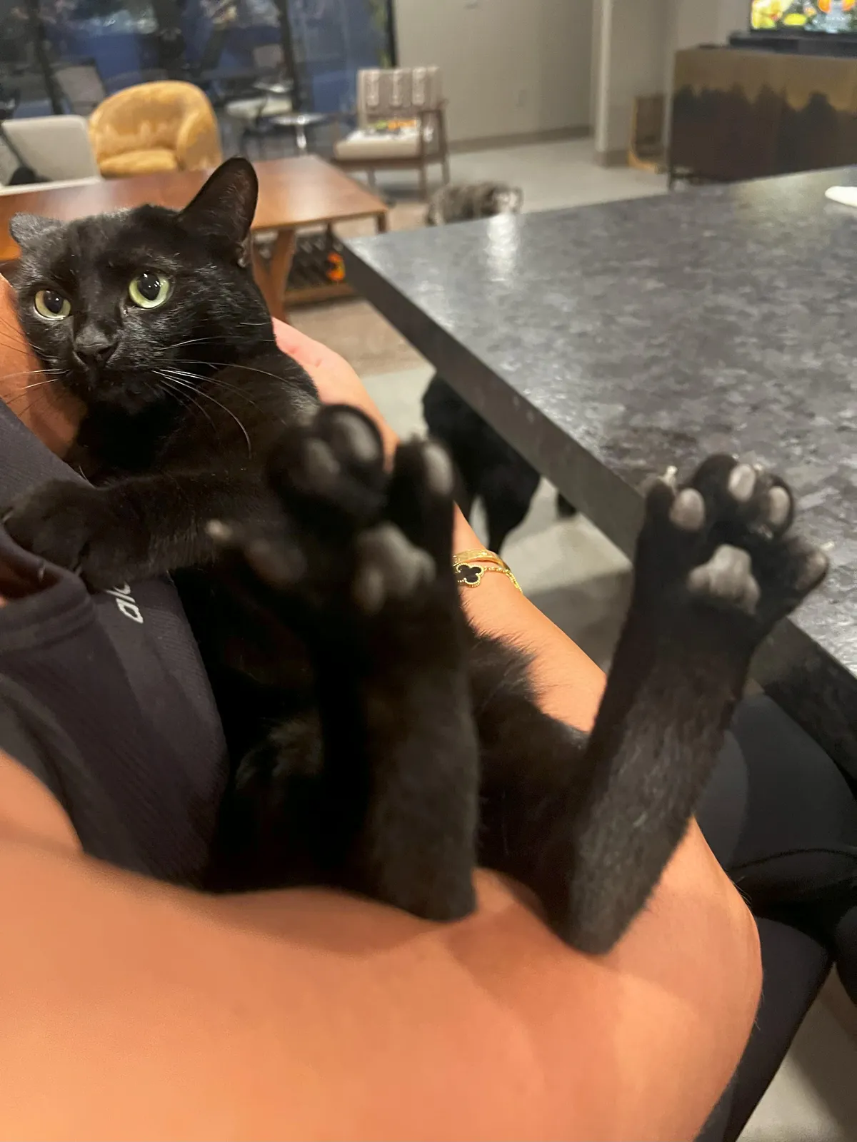 who wants to touch his toe beans?