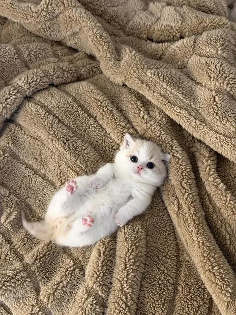 Im officially in love......... 😍