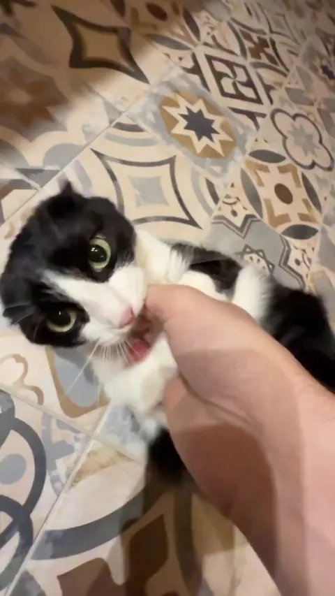 You just didn't slide me like that