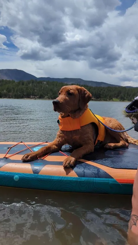 The “Then” and the “Now” 🥰 ~ 5 weeks to 7 months 🩵