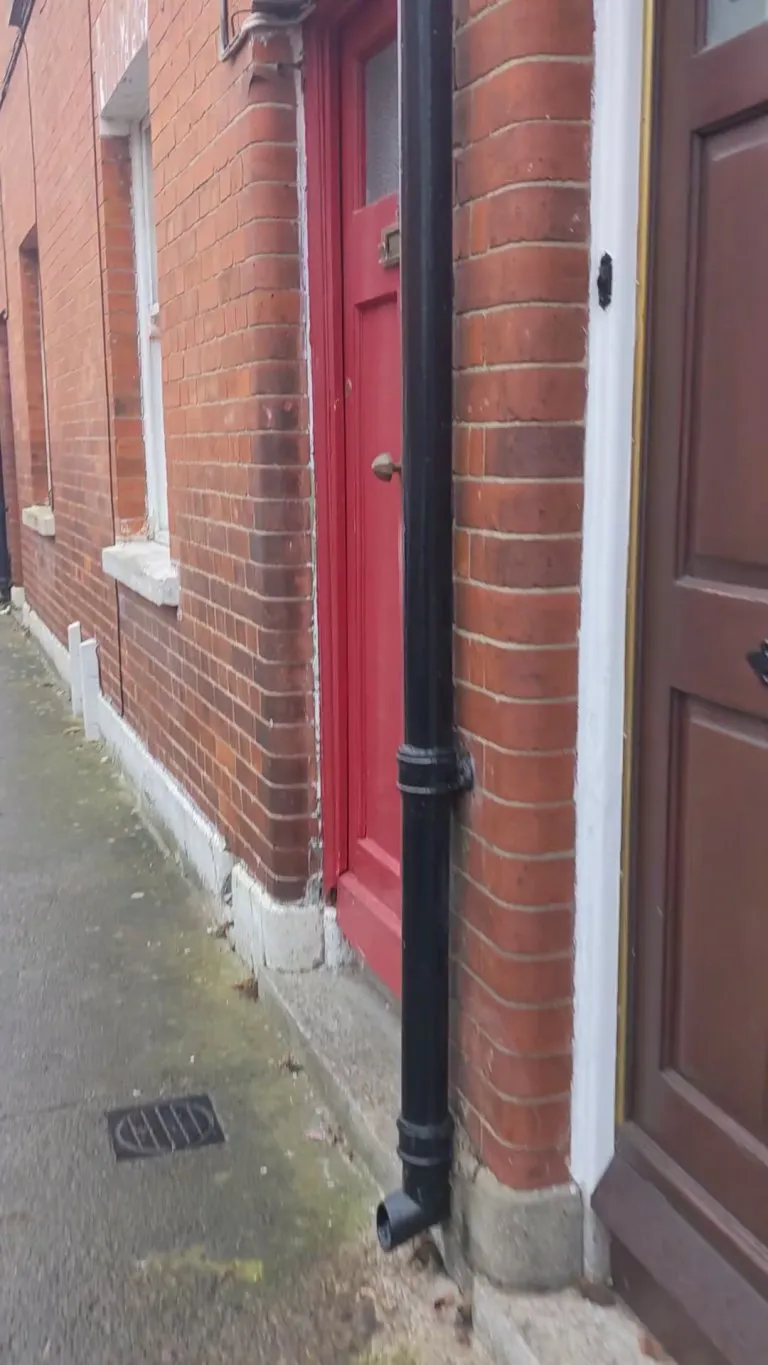 My neighbor's dog every time I leave the house