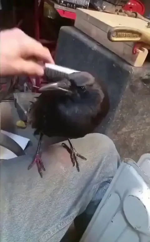 "did i say you can stop??"