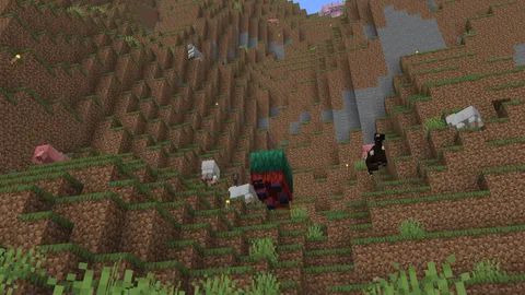 Why do all of the animals go to this corner?