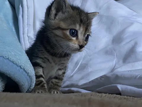Just woke up 🥹