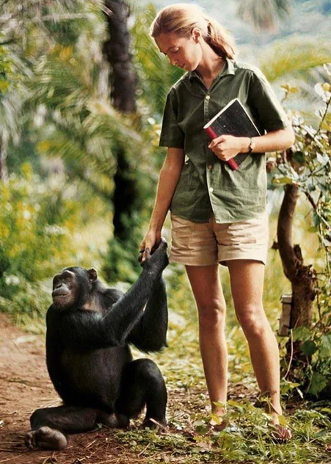 A young Jane Goodall