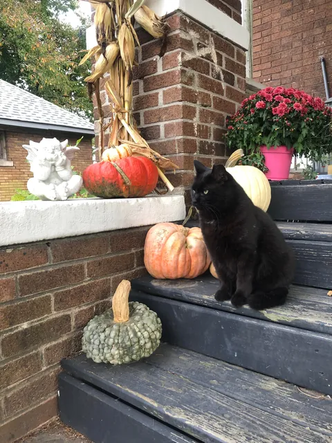Got the porch decorated, time for senior photos