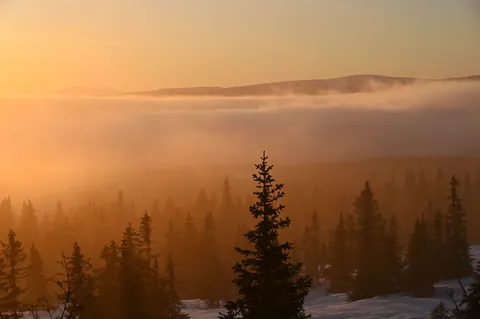 Picture that got me into photography