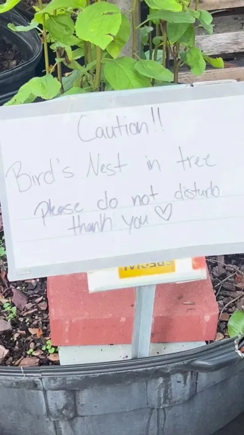 Home Depot garden center star employee.