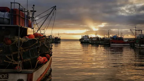 One of my favourite shots. Early morning at the Harbour