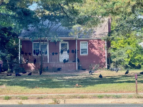 Turkey vultures congregating only at this house. 