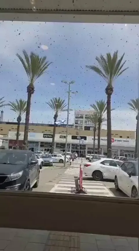 Tens of thousands of bees have suddenly swarmed across parts of Israel, prompting authorities to warn residents and shop owners to keep doors and windows closed