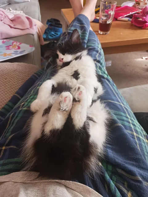 She might have a favourite sleeping position