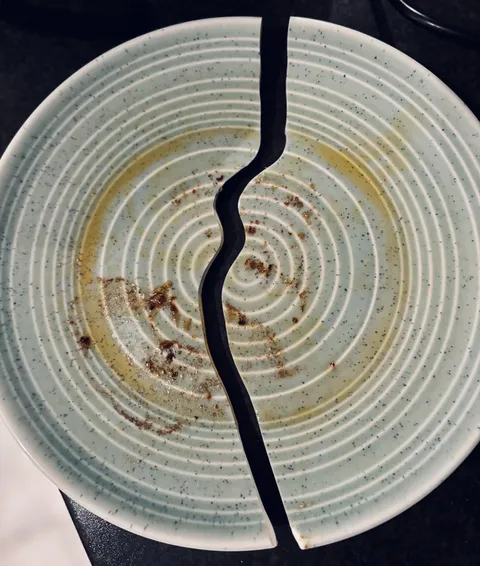 The heat of the microwave beautifully broke my plate in two.