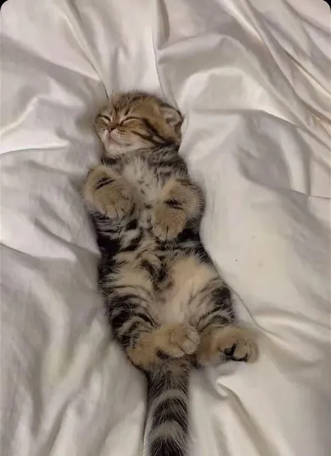 My baby seems sleepy.