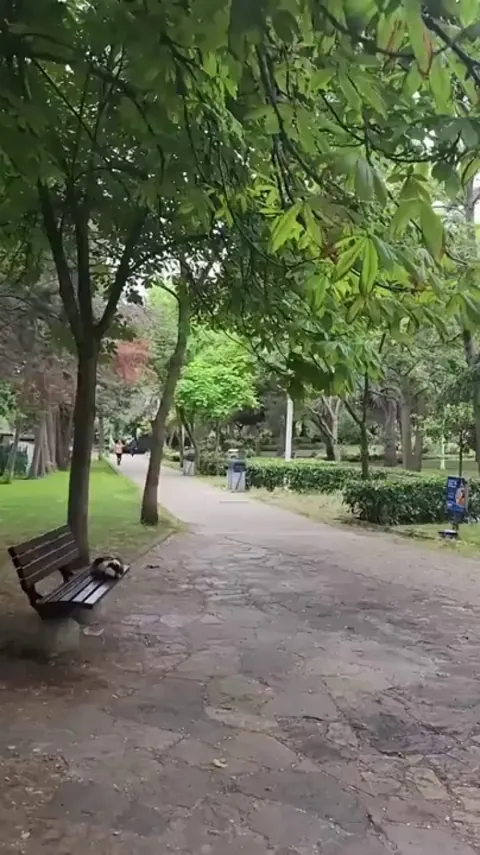 Congratulations! You have just been adopted