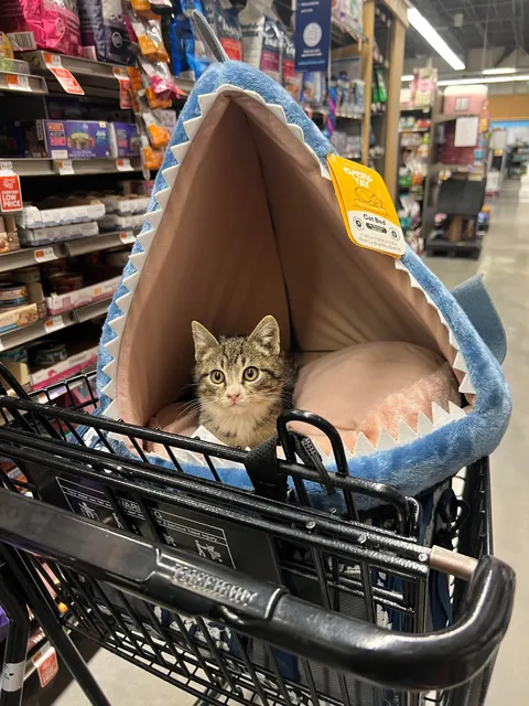 Introducing Riften 💙