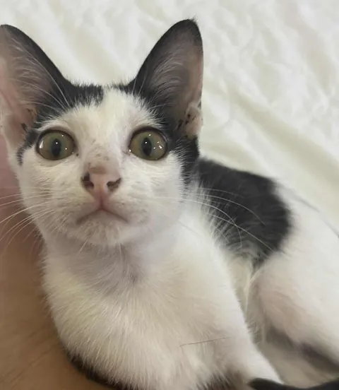 His first night off the street