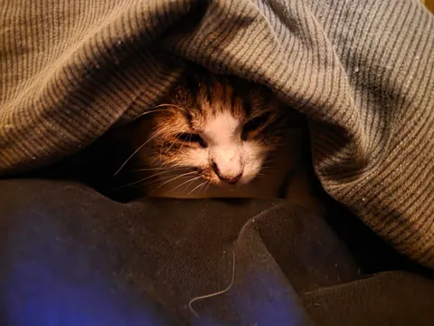 My best friend went missing 9 days ago