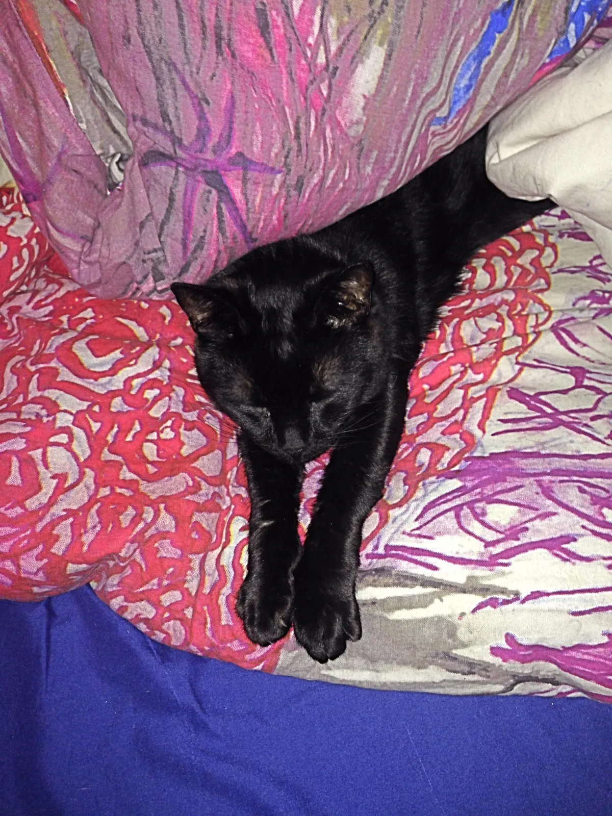 Heaven just got a little more BADASS!!