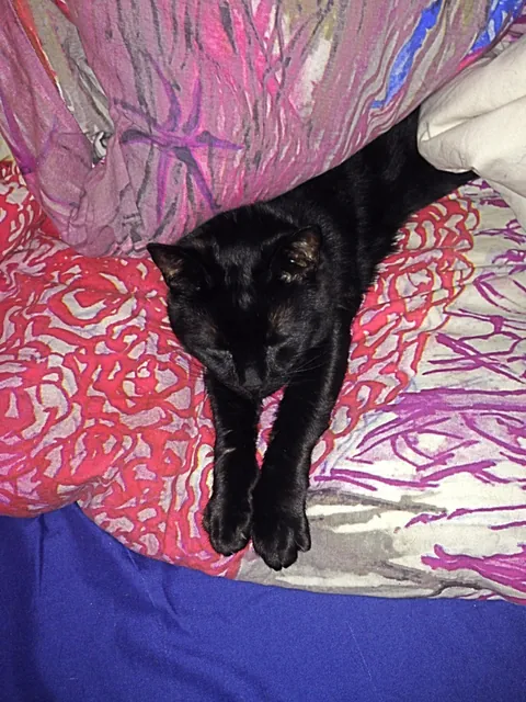 Heaven just got a little more BADASS!!