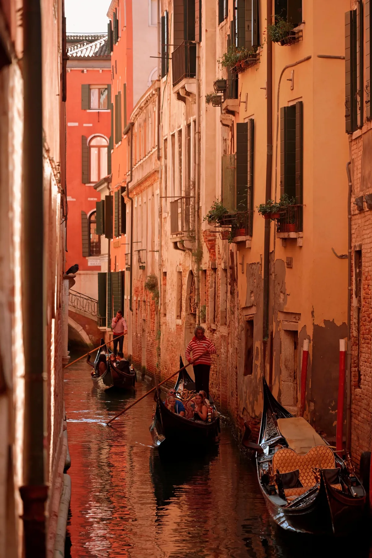 Traveled to Italy for my first time leaving the country