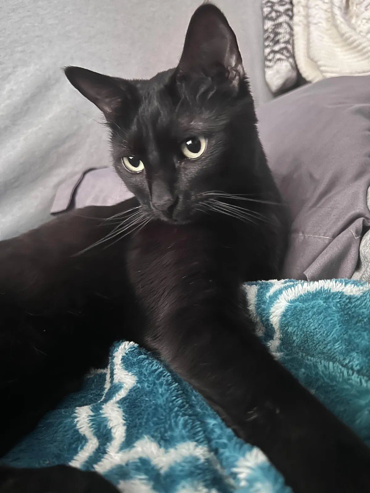 please share your baby’s model pose