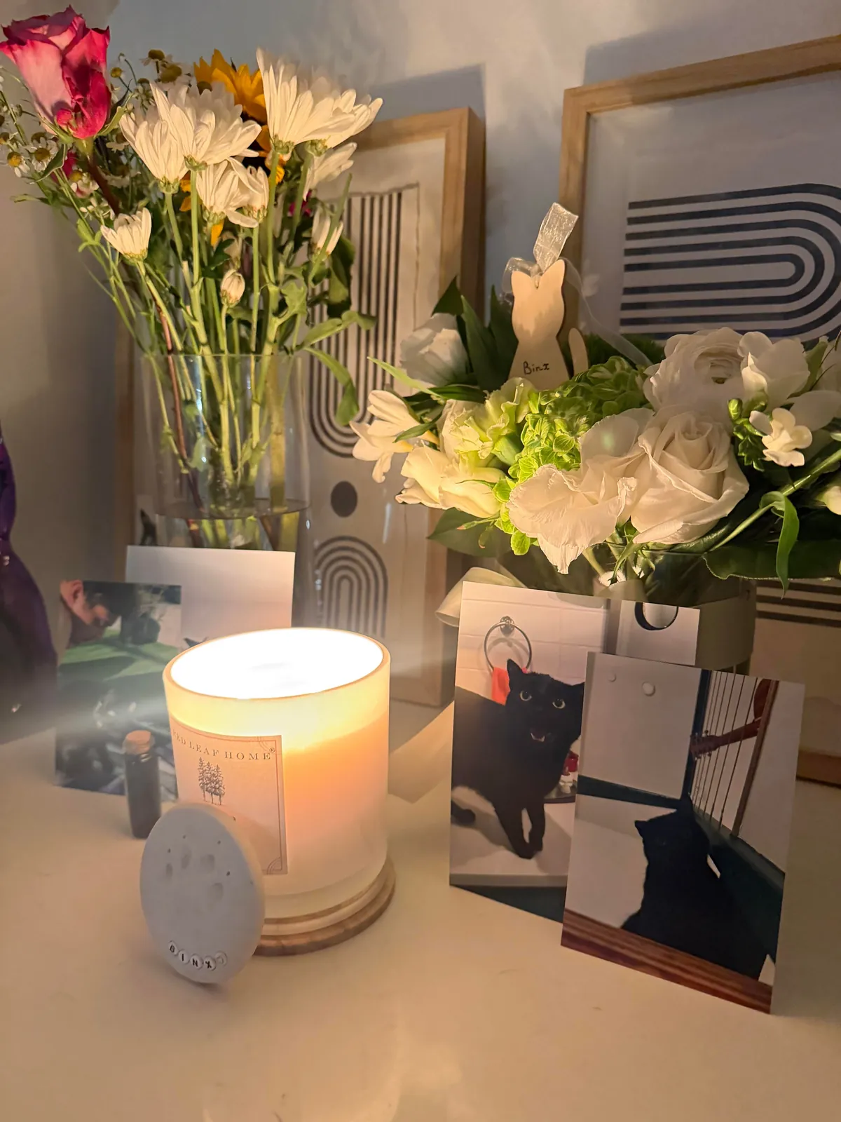 I lost my soul cat 💔