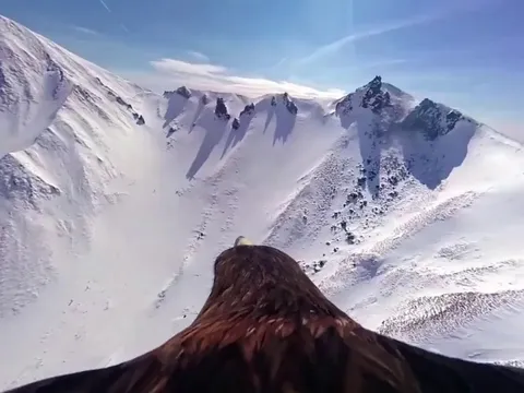 🔥POV: flying over mountains on the back of an Eagle