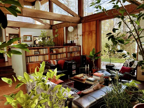 Living room after bringing our citrus trees inside for the winter. NC.