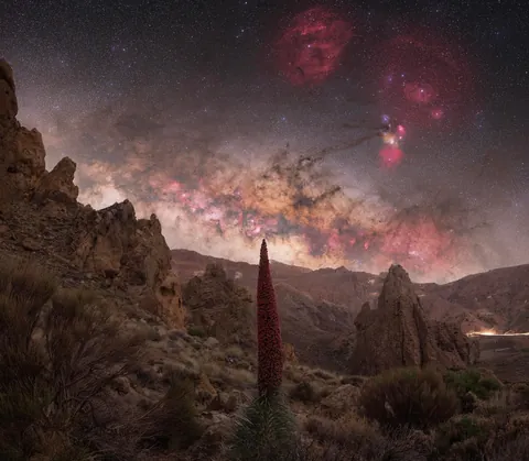 my best shots of 2025